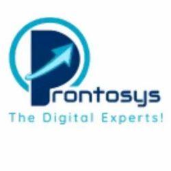 Prontosys Services