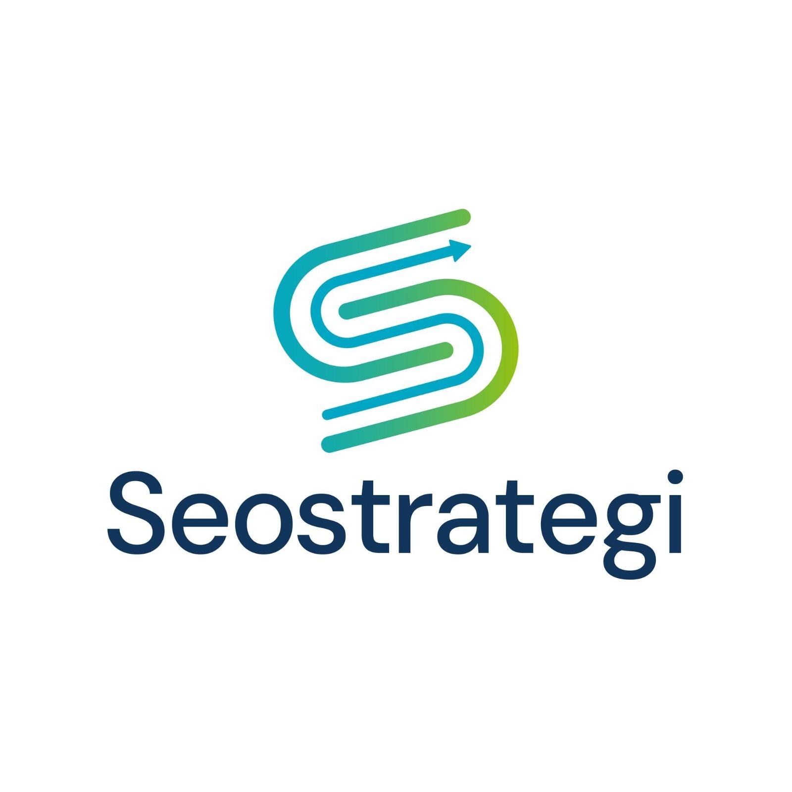 SeoStrategi Norway